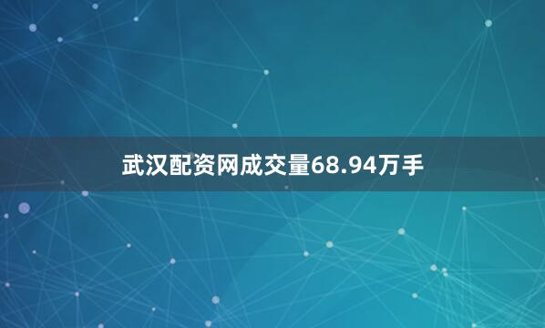 武汉配资网成交量68.94万手