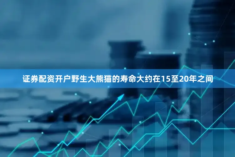 证券配资开户野生大熊猫的寿命大约在15至20年之间